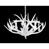 Polen Eclectic 5-Light Antler Chandelier 