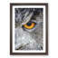 Eye of an Owl - Picture Frame Painting Print-56853011-56853017