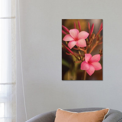 Pink Flowers by Aged Pixel - Wrapped Canvas Print