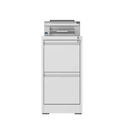 2 Drawers Metal Vertical File Cabinets with Lock-Durable for Home & Office.