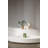 Saba Table Lamp