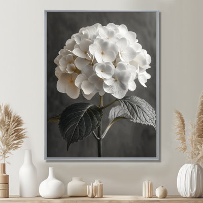 Monochrome Hydrangea Botanical Beauty II - Hydrangea Wall Art Living Room