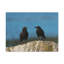 No Frame Print on Canvas-1145388298