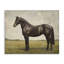 Toile espresso avec portrait de cheval, design par Petal Prints Design-152456081