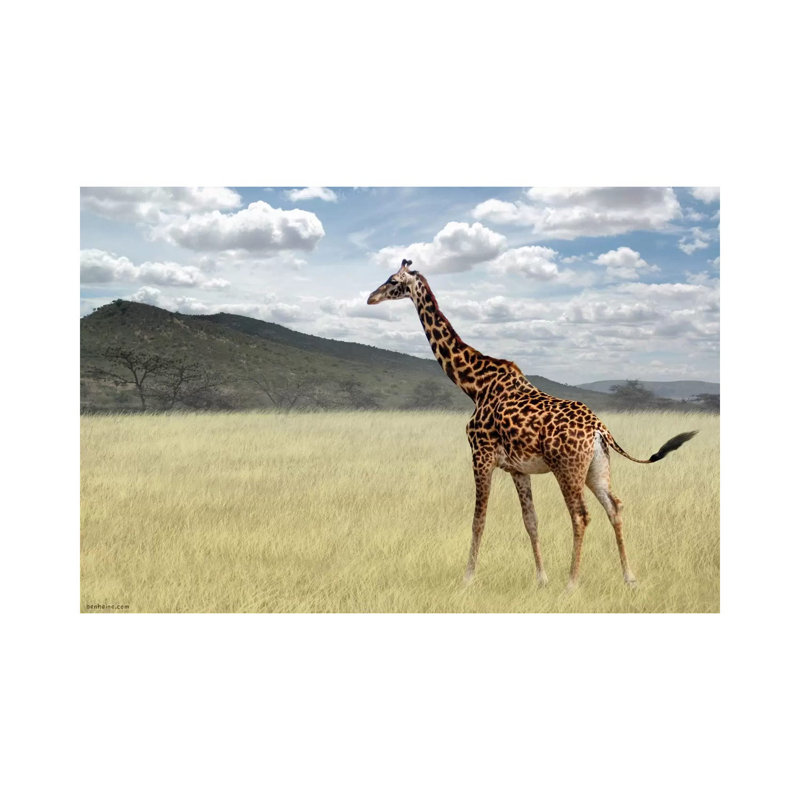 Il était une fois au Kenya # 3 par Ben Heine - reproduction de photo, H 18 po x l 26 po x P 1,5 po, Toile tendue