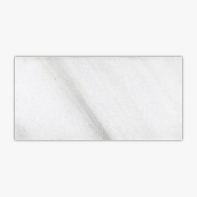Biarritz 16'' W x 32'' L Marble Singular Tile