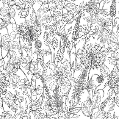 Herbal Pattern Wallpaper B1080