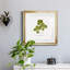 «Pressed Clover II», reproduction encadrée de qualité supérieure - prête à être accrochée-666560571-666560572