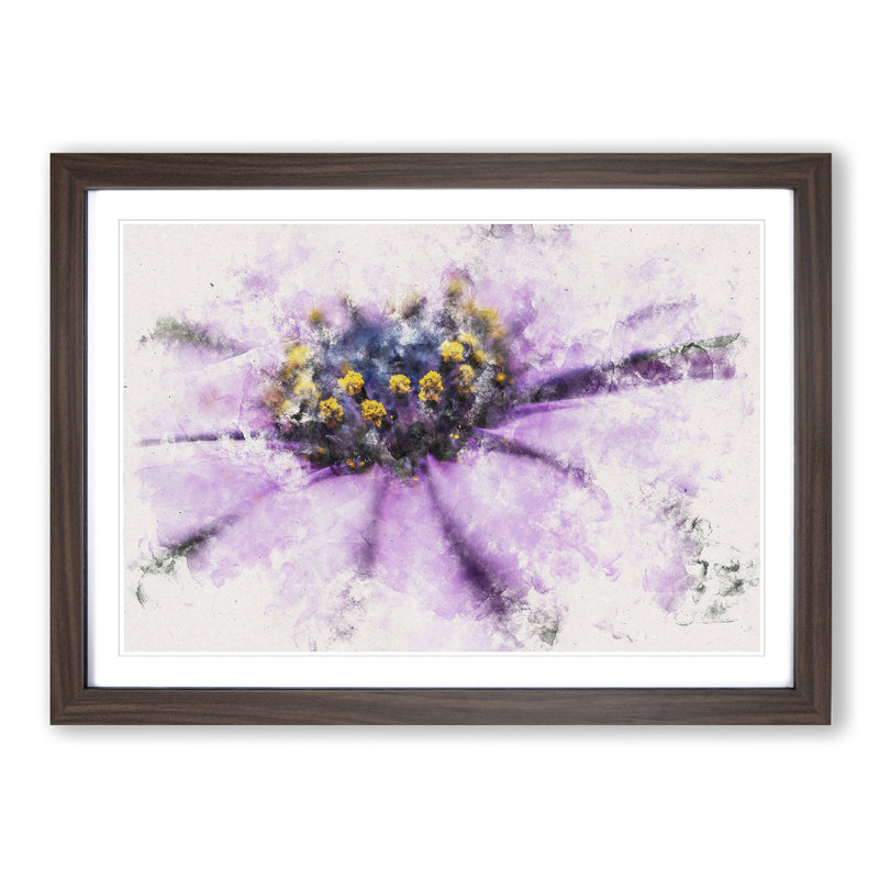 Pollen of a Purple Gerbera Flower - Picture Frame Graphic Art Print, 45cm H x 63cm W x 2cm D, Walnut Framed