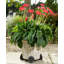 Siri Weather Resistant Planter Feet