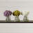 Hydrangea Arrangement in Vase