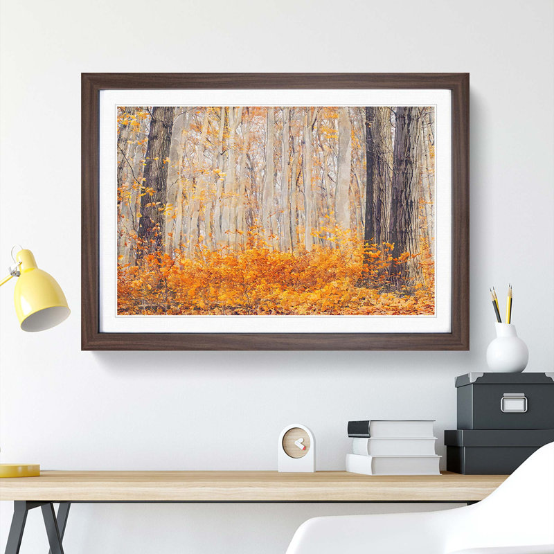 Orange Forest - Picture Frame Graphic Art Print, 36cm H x 48cm W x 2cm D, Walnut Framed