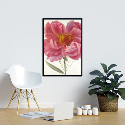 " Pink Peony Flower "