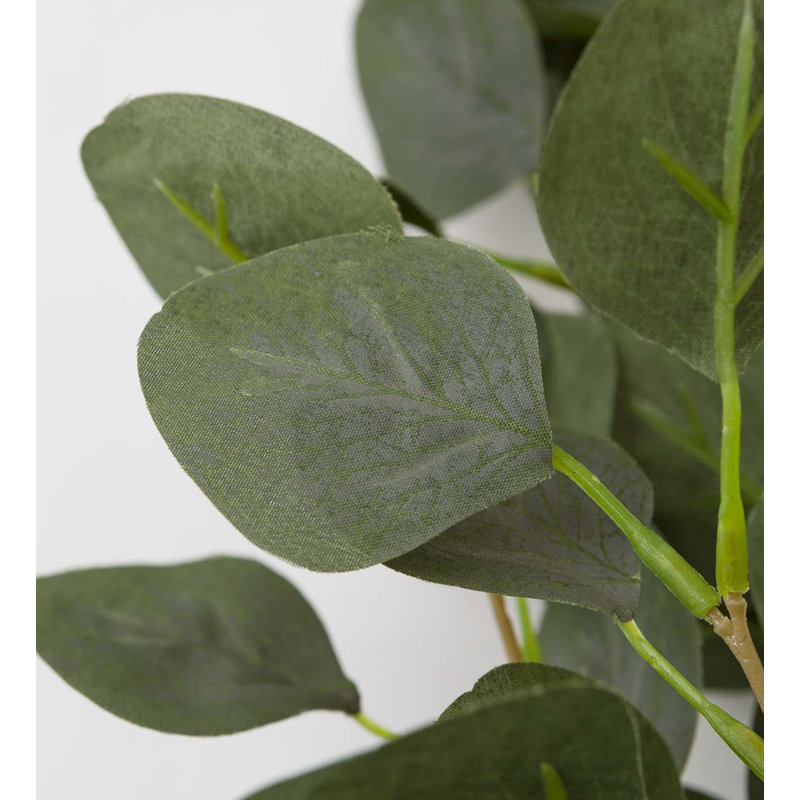 Branche d'eucalyptus éclairé avec 32 lumières DEL