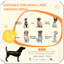 Table d'appoint pour chien Dog