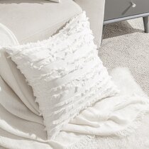 https://assets.wfcdn.com/im/25065168/resize-h210-w210%5Ecompr-r85/1318/131890876/Polyester+Pillow+Cover+%28Set+of+2%29.jpg
