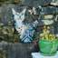 Décoration murale chat
