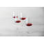 Zwiesel Glas Echo Crystal Glass, 19 Oz. All Purpose Wine Glass (Set of 4), Clear
