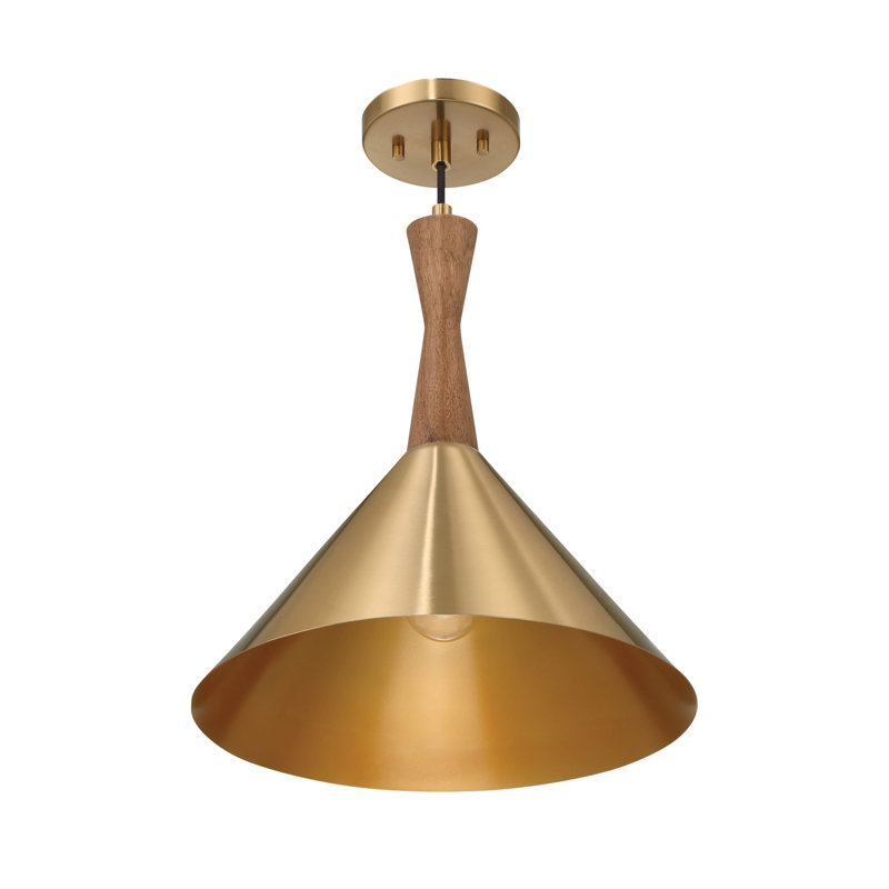 Elizette - Light Cone Pendant
