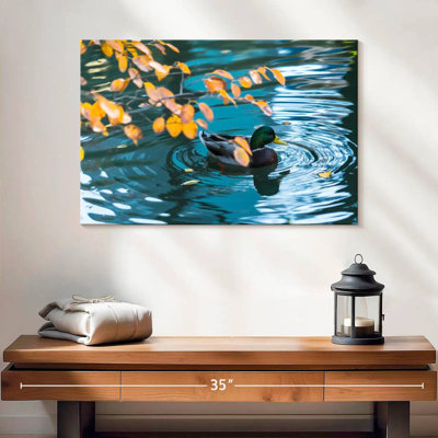 Brampt Mallard Duck On Pond