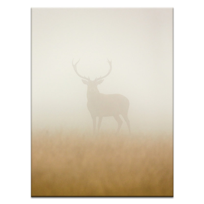 Print on Canvas, 51cm H x 41cm W, Wrapped Canvas