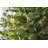 50.5' 100-Light String Lights-31889554