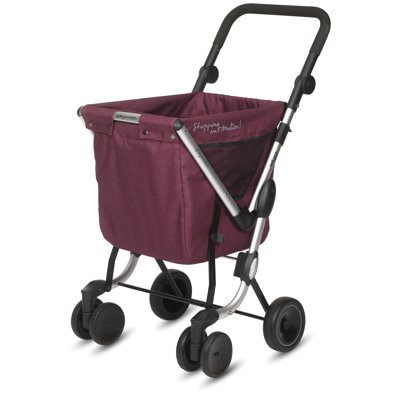 Chariot à main 110 lb Playmarket We Go Hand