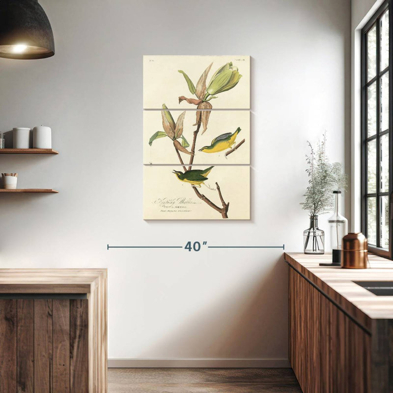 Brampt Kentucky Warbler, 38" H x 24" W