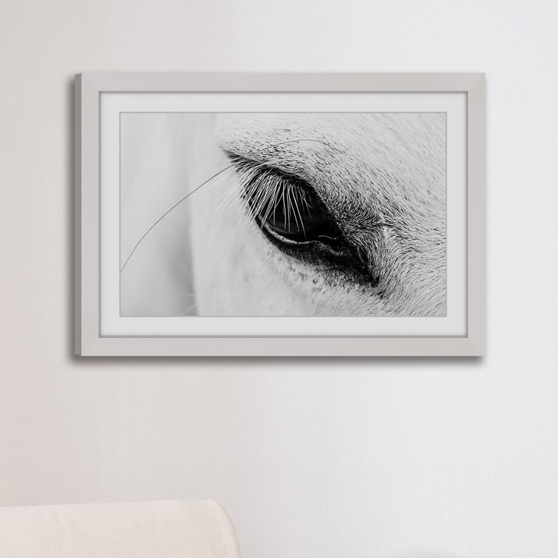 " Trusting Eye " by Marmont Hill, White Framed, 24" H x 36" W x 1.5" D