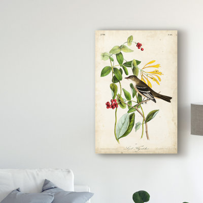 «Audubon Bird and Botanical II», reproduction de peinture à l'huile sur toile tendue
