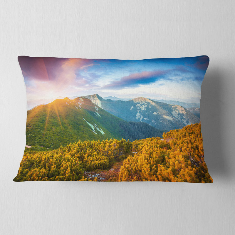 Coussin lombaire Schafer