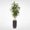 Real Touch Faux Dracaena Tree in Metal Planter