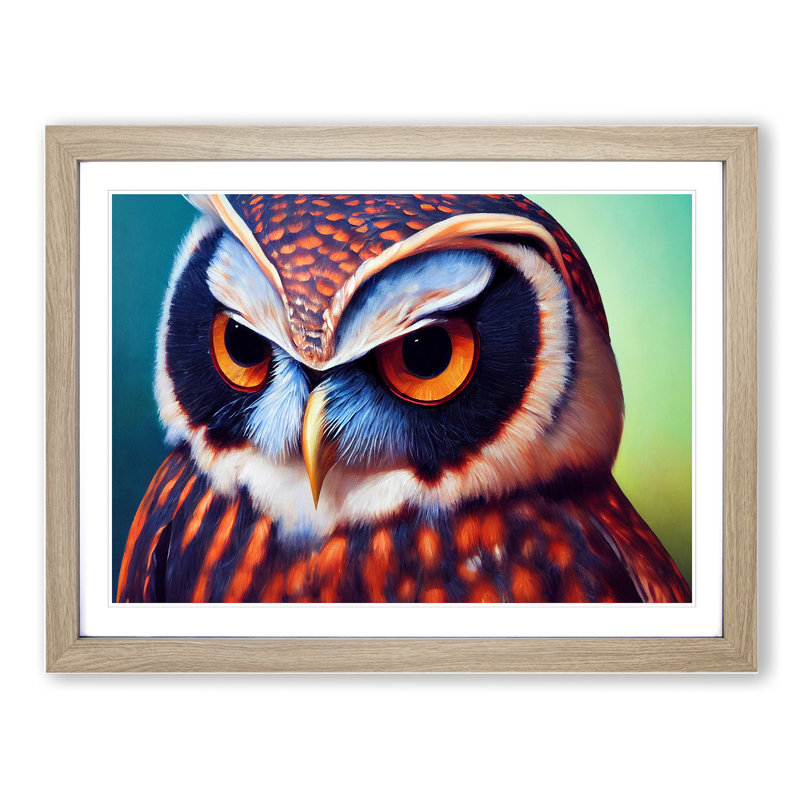 Brilliant Owl - Single Picture Frame Print, 25cm H x 34cm W x 2cm D, Oak Framed