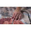 Tapis d'intérieur à motif floral rouge / beige 8 pi x 11 pi (7 pi 7 po x 10 pi 10 po) Sakura de Branch Branch-295077807