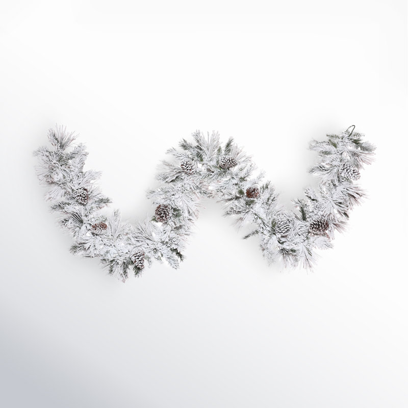 Odaniel 9'  Garland