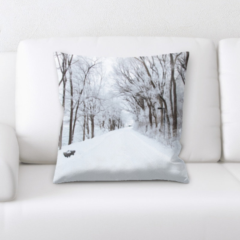 Landrum Throw Pillow