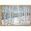 Aspen, bouleau blanc, forêt, hiver, paysage, plantes, nature, paysage rustique, frais, BA03-100095179-100095181
