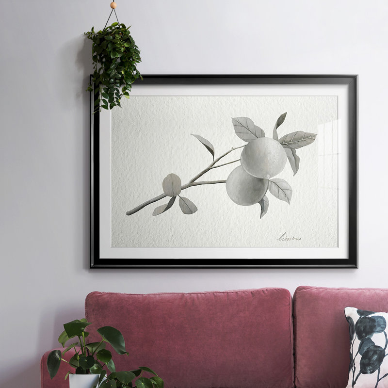 Limonero II, reproduction d'art encadrée, Noir, H 30 po x l 44 po x P 1,5 po