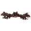 Carlotta Bar / Handle Pull-10365395