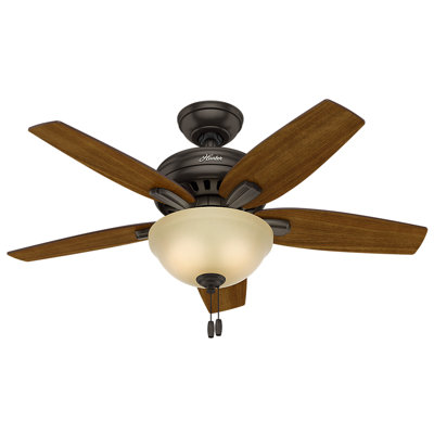 Ventilateur de plafond standard à 5 pales 42 po avec chaînette et ensemble d’éclairage inclus Newsome