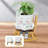 Reading themed Planter with Drainage Holes: Durable Resin, Rocking Chair Design