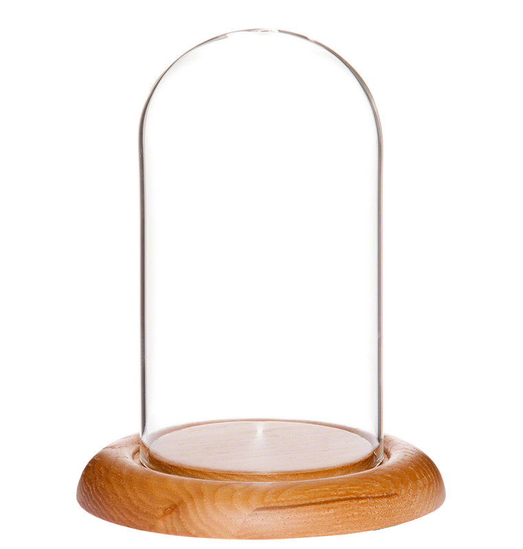 Cloche en verre 3 "x 5" Vucciria, Base en chêne