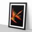 Orange and Red Bird of Paradise in Abstract - Picture Frame Graphic Art Print-55723844-55723845