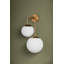 Brogan 2 Light Wall Sconce