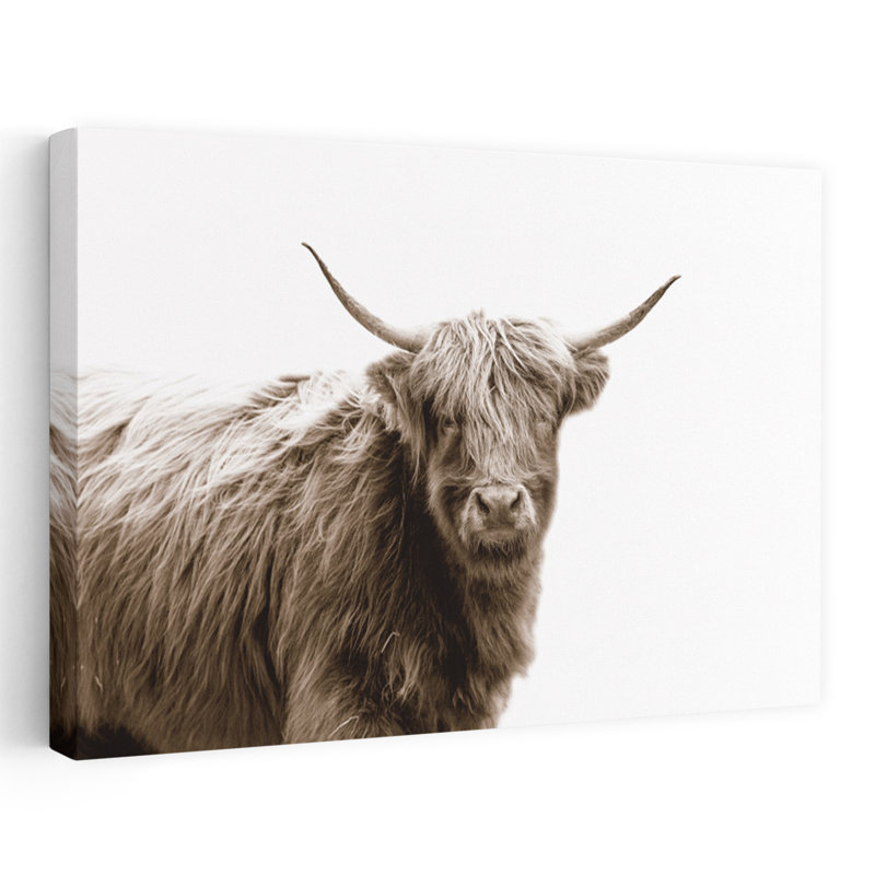 Highland Portrait, art de portrait de vache contemporain, H 36 po x l 24 po