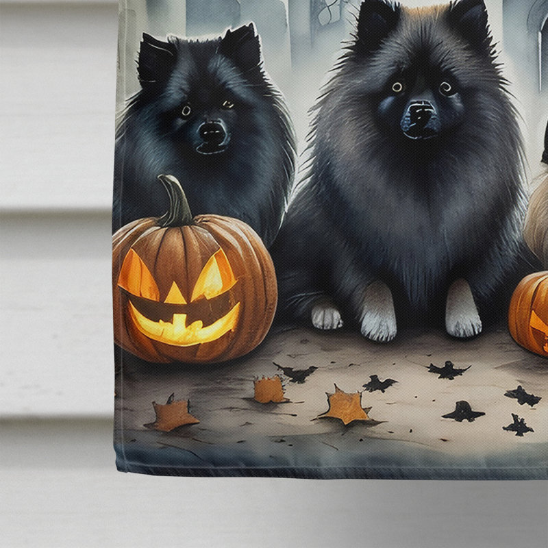 Double Sided 40'' H x 28'' W Polyester Halloween House Flag