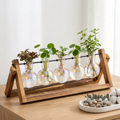 Five Bulb Glass Vases on a Wooden Stand with Metal Swivel Holder, Versatile Propagation Station for Tabletop or Wall Hanging in Home Garden Office