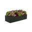 Assorted Sedum and Roses in Fiberstone Planter