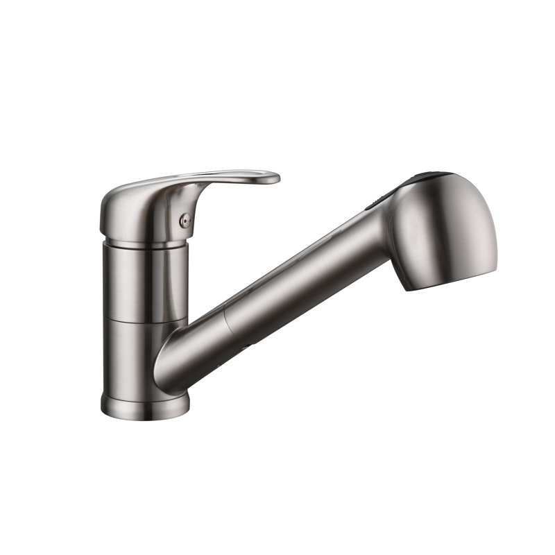AA FAUCET Pull Out Kitchen Faucet