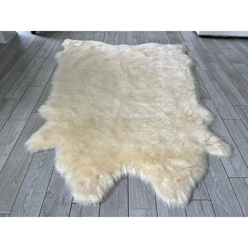 Tapis Novelty Pakin, Nouveauté 5 pi 6 po x 6 pi 6 po